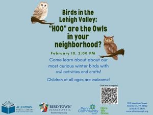 Birds in the Lehigh Valley: "HOO" Are the Owls in Your Neighborhood?
