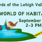 Birds of the Lehigh Valley: a World of Habitats