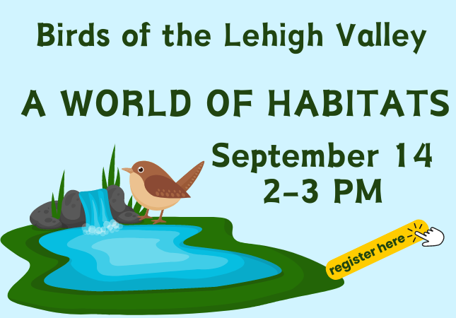 Birds of the Lehigh Valley: a World of Habitats