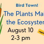 Bird Town:  Plants Make the Ecosystem