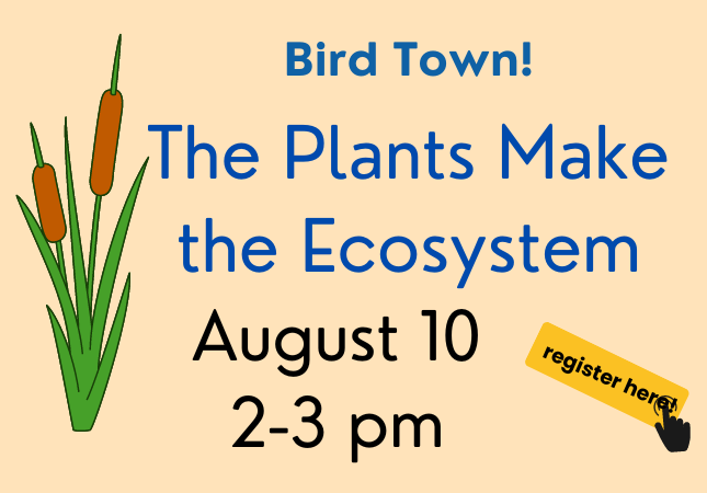 Bird Town:  Plants Make the Ecosystem