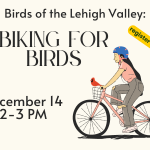 Birds of the Lehigh Valley: Biking for Birds