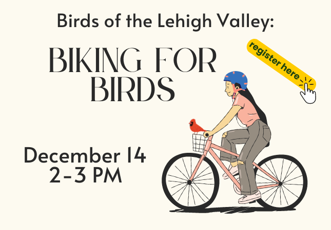 Birds of the Lehigh Valley: Biking for Birds