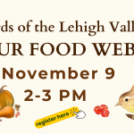 Birds of Lehigh Valley: Our Food Web