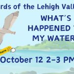 Birds of the Lehigh Valley: What's Happened to My Water?